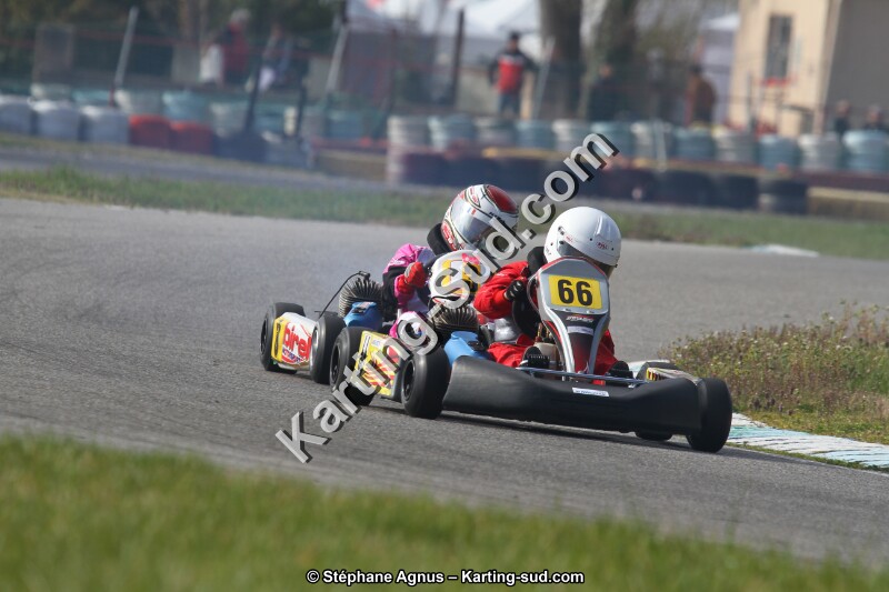 20140316-lavelanet-agnus 717 (2).JPG